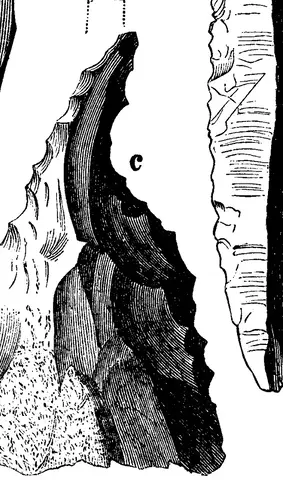 Illustration ur Om de äldsta spåren (1873), sida 94