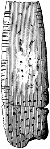 Illustration ur Om de äldsta spåren (1873), sida 113