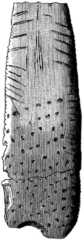 Illustration ur Om de äldsta spåren (1873), sida 113