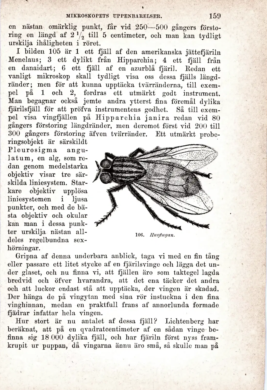 Originalsida 159
