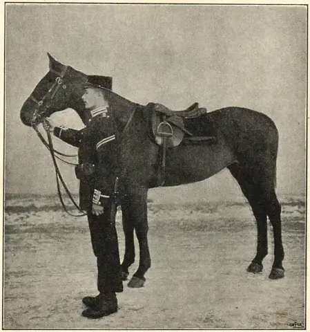 Illustration, sida 117