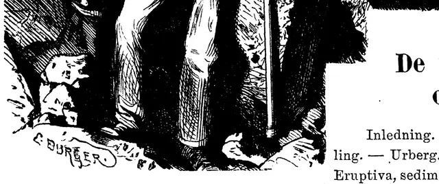 Illustration, sida 7