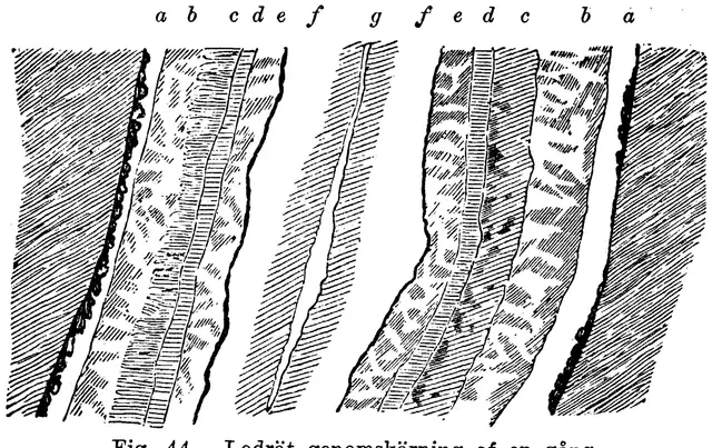 Illustration, sida 102