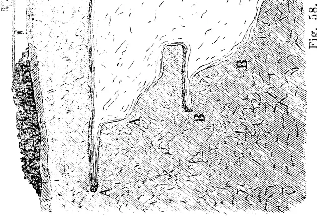 Illustration, sida 113