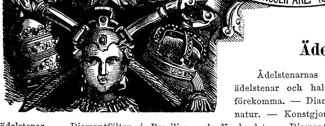 Illustration, sida 234