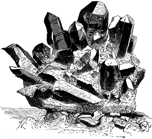 Illustration, sida 258