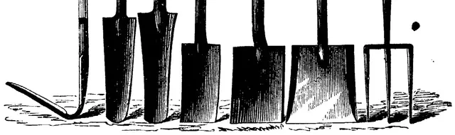 Illustration, sida 293