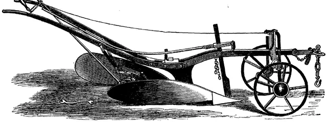 Illustration, sida 299