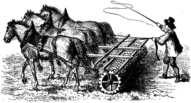 Illustration, sida 306