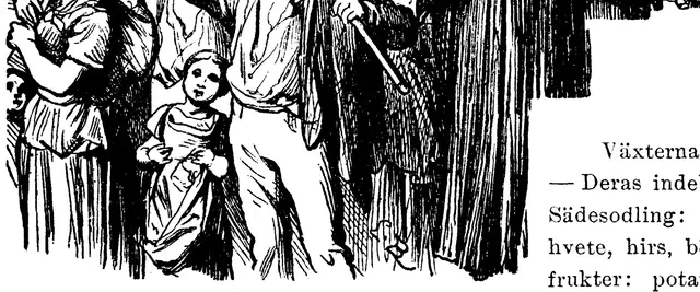 Illustration, sida 324