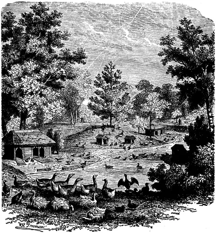 Illustration, sida 368