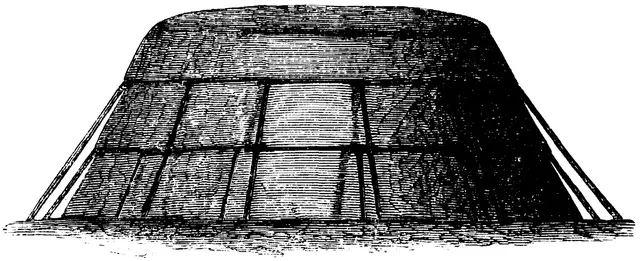 Illustration, sida 443