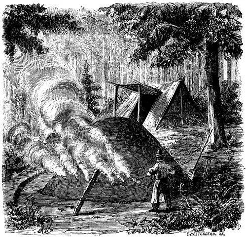 Illustration, sida 445
