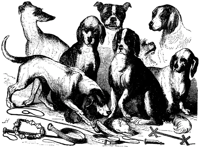 Illustration, sida 471