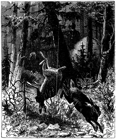 Illustration, sida 482
