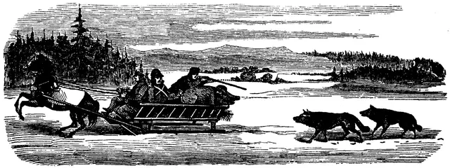 Illustration, sida 485