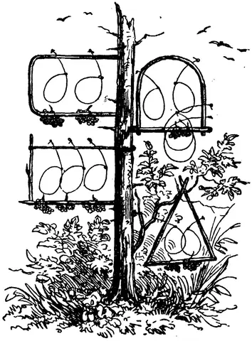 Illustration, sida 489