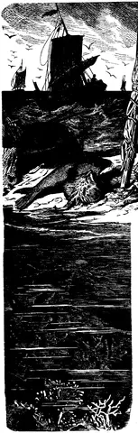 Illustration, sida 501
