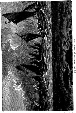 Illustration, sida 535