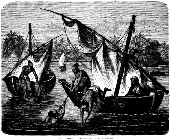Illustration, sida 542