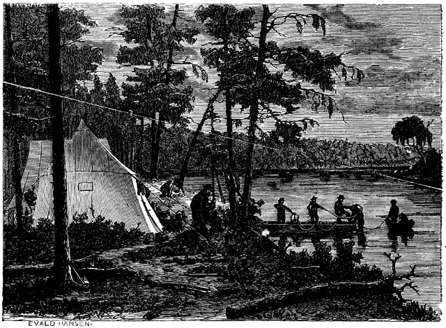 Illustration, sida 546