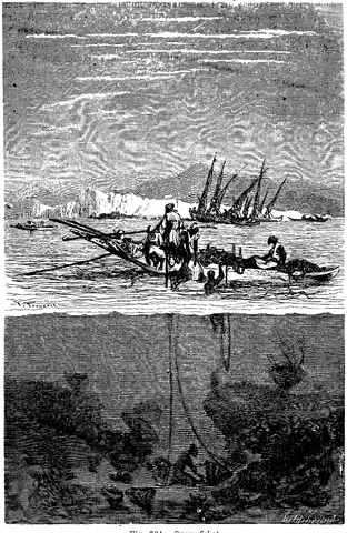 Illustration, sida 547