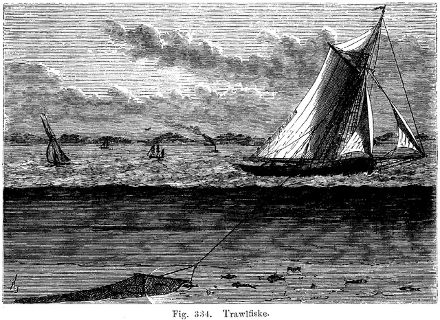 Illustration, sida 568