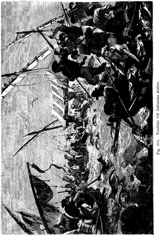 Illustration, sida 571