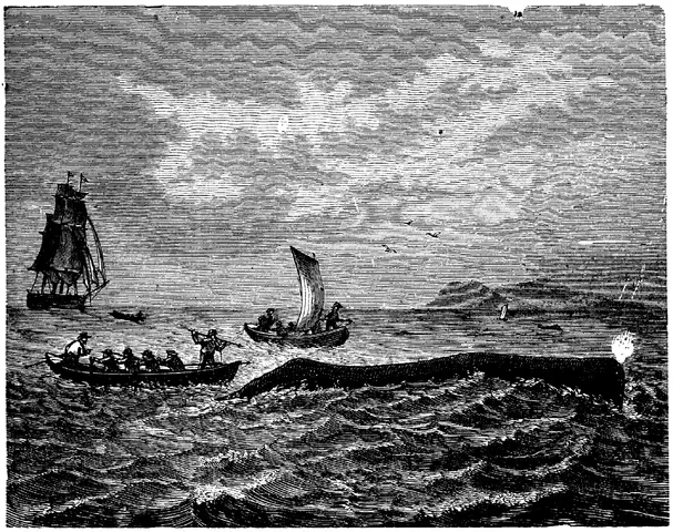 Illustration, sida 579