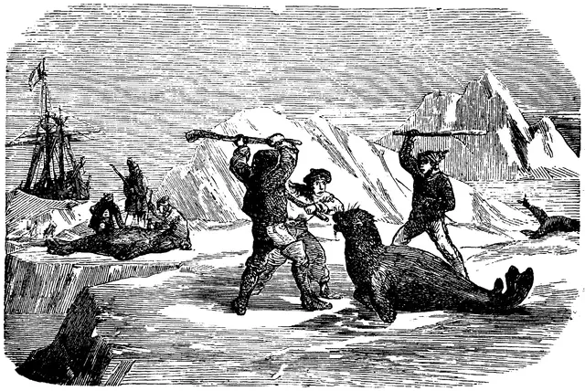 Illustration, sida 585