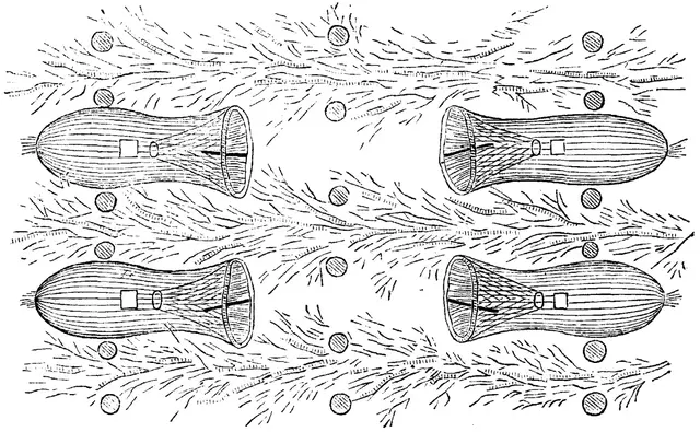 Illustration, sida 597