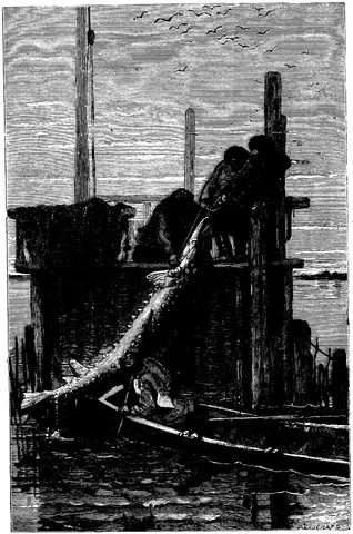 Illustration, sida 601