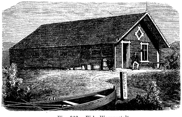 Illustration, sida 609