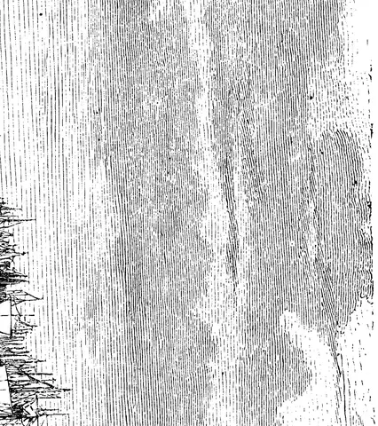 Illustration, sida 58