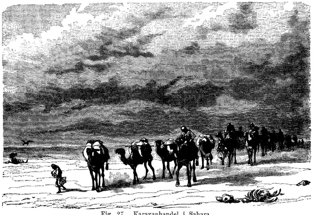 Illustration, sida 82