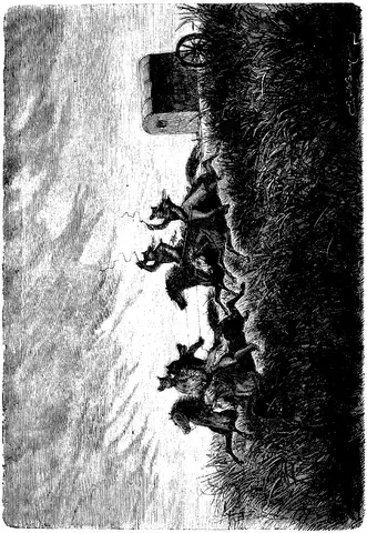 Illustration, sida 113