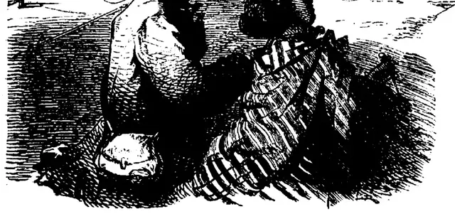 Illustration, sida 123