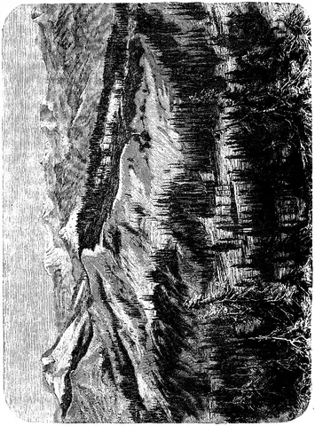 Illustration, sida 145