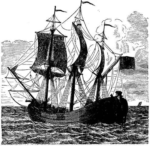 Illustration, sida 295