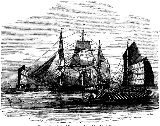 Illustration, sida 302