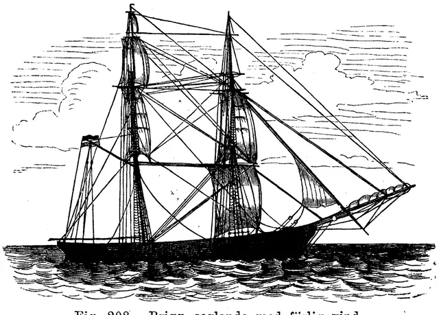Illustration, sida 443