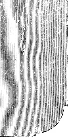 Illustration, sida 598