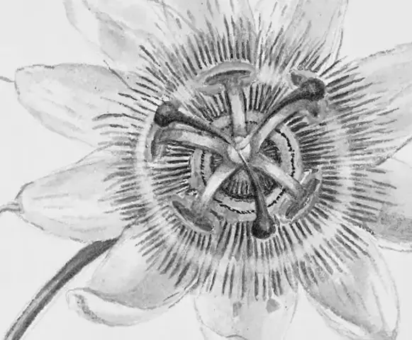 Illustration ur Skissböcker (1830), sida 131