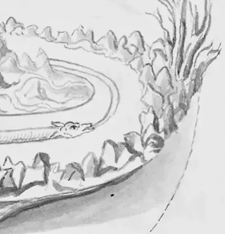 Illustration ur Skissböcker (1830), sida 133