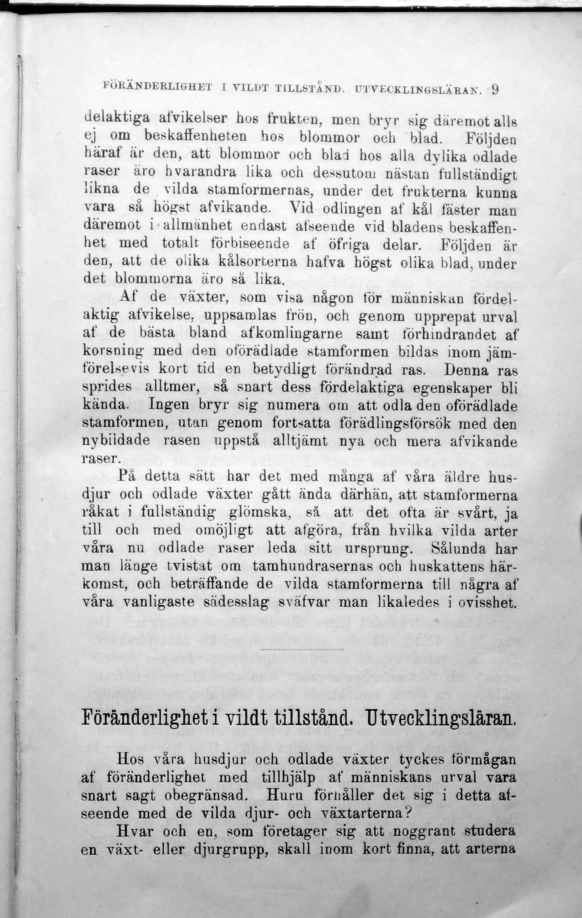 Skannad sida 15