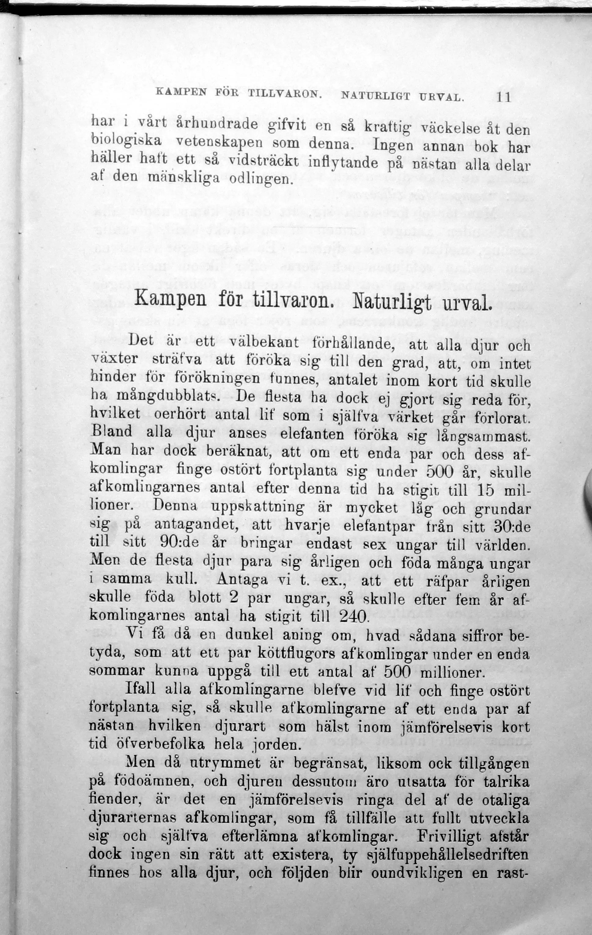 Skannad sida 17