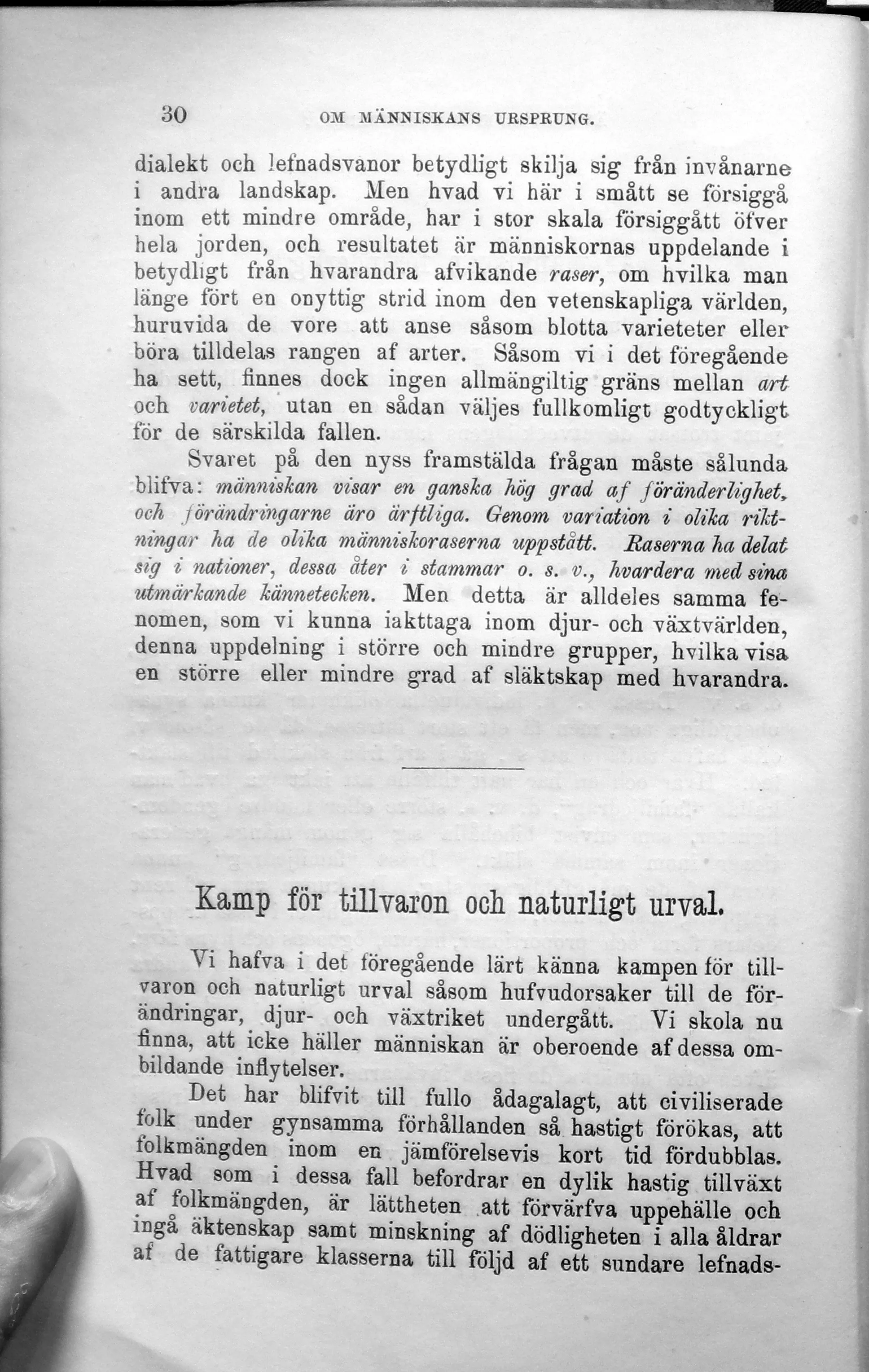 Skannad sida 36