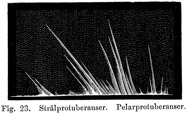 Illustration, sida 94
