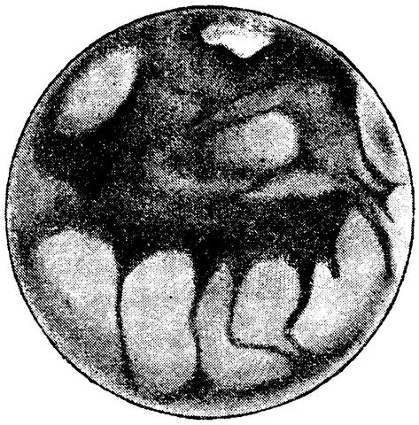 Illustration, sida 151