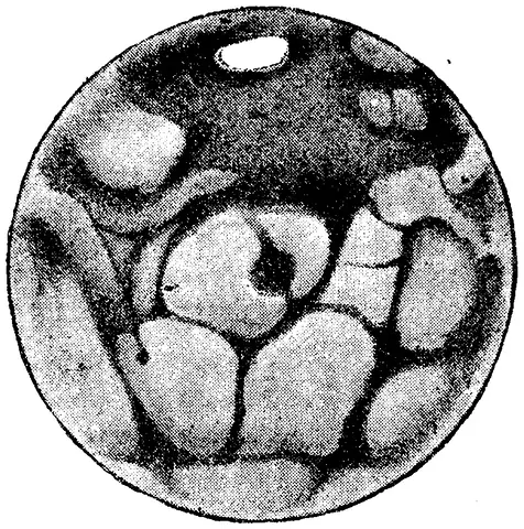 Illustration, sida 151